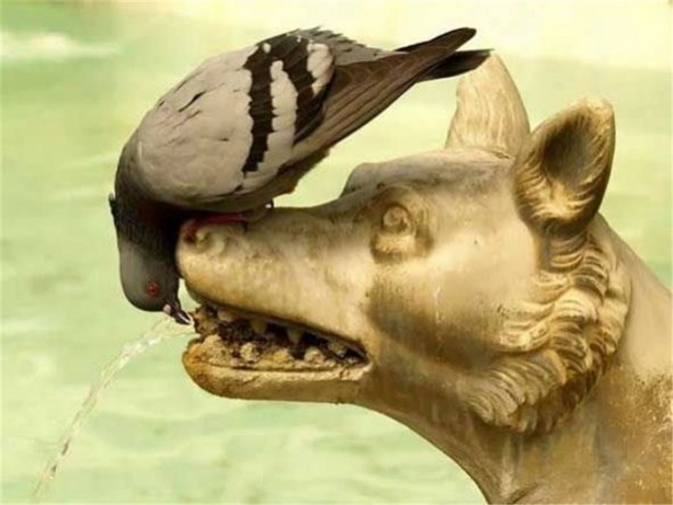 Foto - İşte internetin en çok tıklanan fotoğrafları