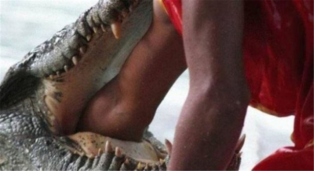 Foto - İşte internetin en çok tıklanan fotoğrafları