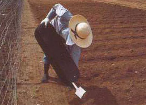 Foto - İşte Japonların en akıl almaz, en gereksiz, en sıradışı icatları! 