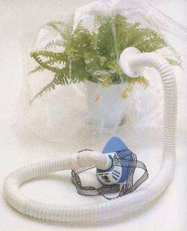 Foto - İşte Japonların en akıl almaz, en gereksiz, en sıradışı icatları! 