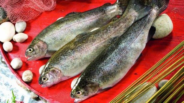 Foto - İşte kanıtlanan faydaları! Dünyadaki en sağlıklı 50 süper yiyecek