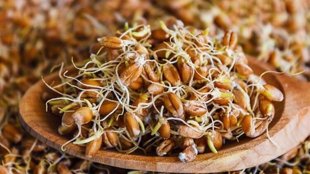 Foto - İşte kanıtlanan faydaları! Dünyadaki en sağlıklı 50 süper yiyecek