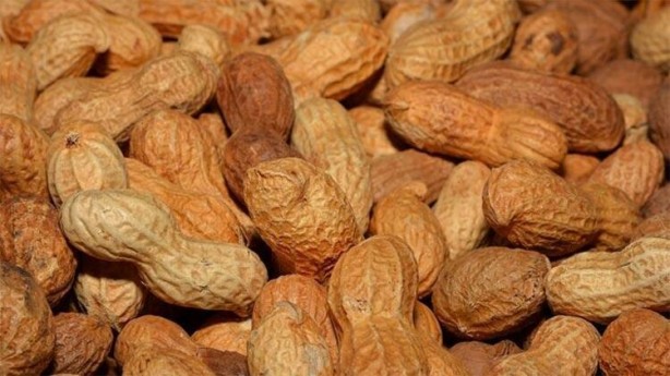 Foto - İşte kanıtlanan faydaları! Dünyadaki en sağlıklı 50 süper yiyecek