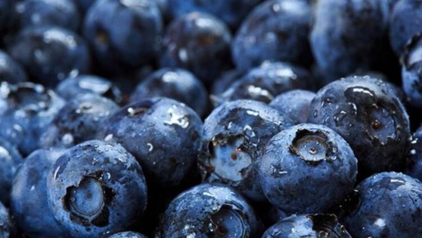 Foto - İşte kanıtlanan faydaları! Dünyadaki en sağlıklı 50 süper yiyecek