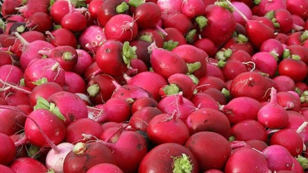 Foto - İşte kanıtlanan faydaları! Dünyadaki en sağlıklı 50 süper yiyecek