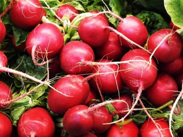 Foto - İşte kanser düşmanı yiyecekler!