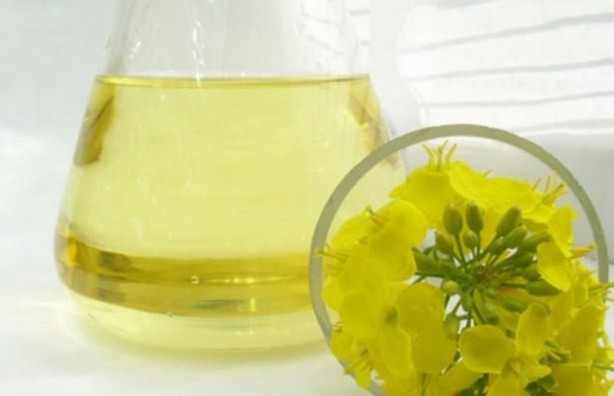 Foto - İşte kanserden korunmanın yolları! 