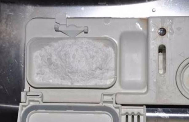 Foto - İşte kanserden korunmanın yolları! 