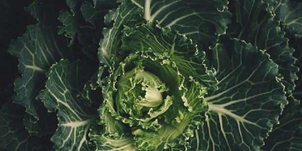 Foto - İşte kanseri önleyen harika besinler