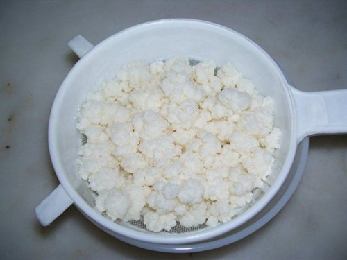 Foto - İşte kanserin en büyük düşmanı!