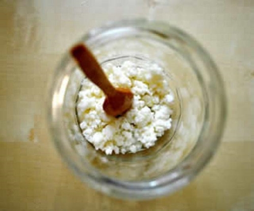 Foto - İşte kanserin en büyük düşmanı!