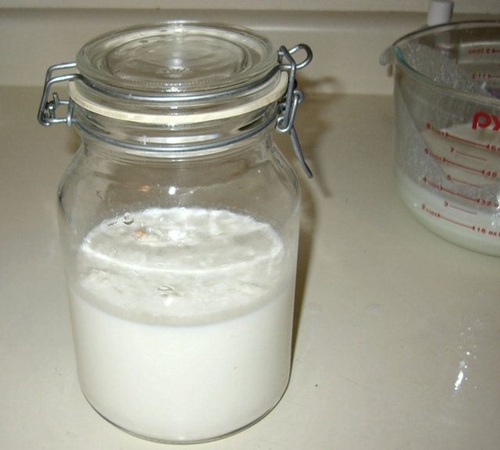 Foto - İşte kanserin en büyük düşmanı!