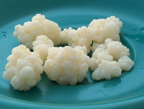 Foto - İşte kanserin en büyük düşmanı!