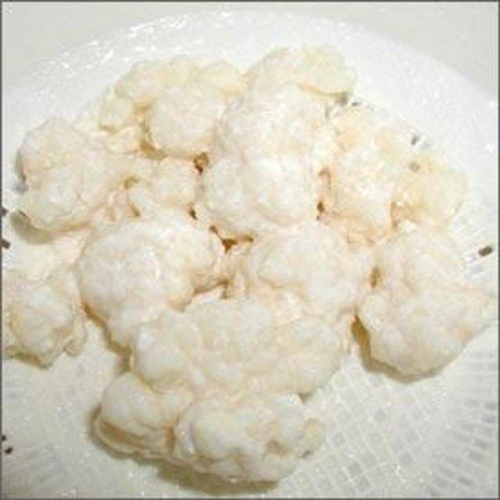 Foto - İşte kanserin en büyük düşmanı!