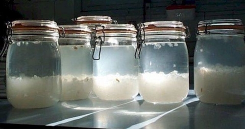 Foto - İşte kanserin en büyük düşmanı!