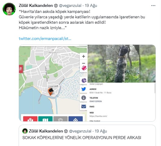 Foto - İşte köpek duyarı kasanların ikiyüzlülüğü! Çocuklar ölürken değil uyurken sessiz olunur!