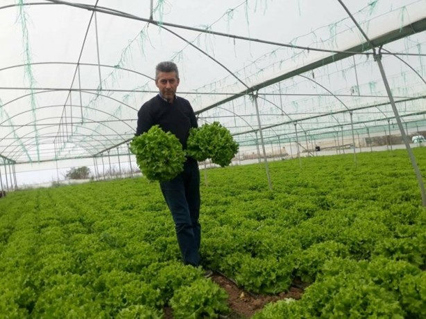 Foto - İşte koronavirüs nedeniyle fiyatı düşen 12 ürün