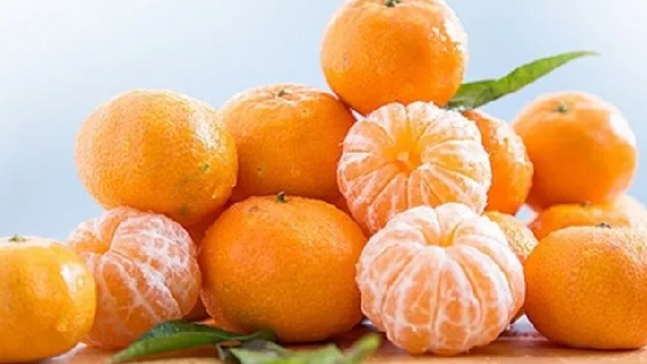 Foto - İşte mandalinanın vücuda beş önemli katkısı… Kilolarca tüketiliyor çünkü!