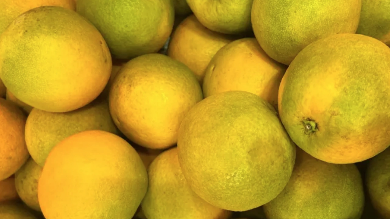 İşte mandalinanın vücuda beş önemli katkısı… Kilolarca tüketiliyor çünkü!