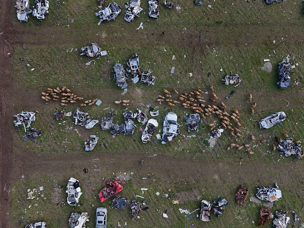 Foto - İşte o araç mezarlığının son hali