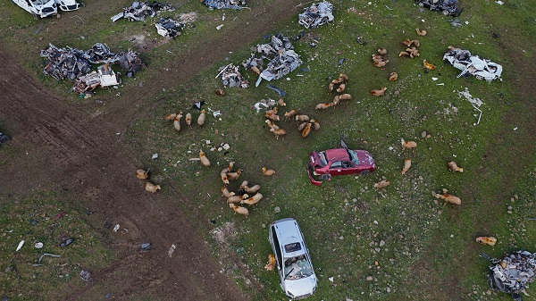 Foto - İşte o araç mezarlığının son hali