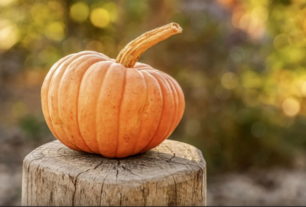Foto - İşte o doğal ürünler! Tatlı krizine kesin çözüm