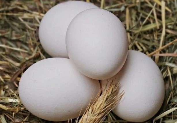 Foto - İşte o gizli tehlike! Yumurta haşlamada büyük hata