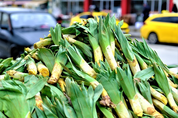 Foto - İşte o mucize bitki! Kendi kendine yetişiyor ve iyi para ediyor
