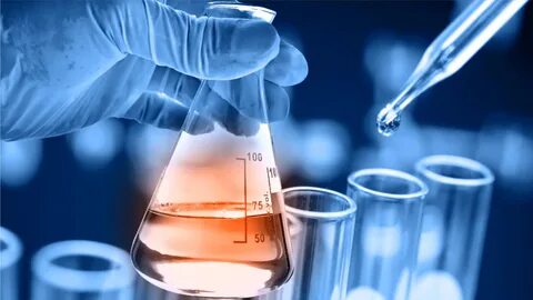 Foto - İşte o ürünler Almanya Türkiye’den kapış kapış aldı