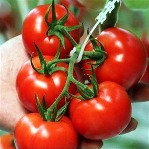 İşte organik sebzelerdeki gizli hazine