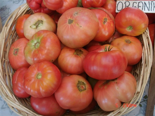 Foto - İşte organik sebzelerdeki gizli hazine