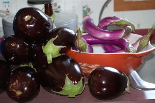 Foto - İşte organik sebzelerdeki gizli hazine