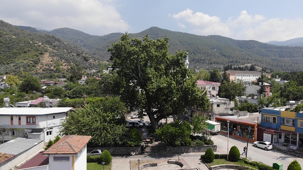 Foto - İşte, Osmaniye'nin 259 yıllık doğal kliması
