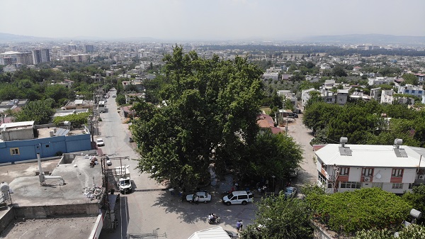Foto - İşte, Osmaniye'nin 259 yıllık doğal kliması