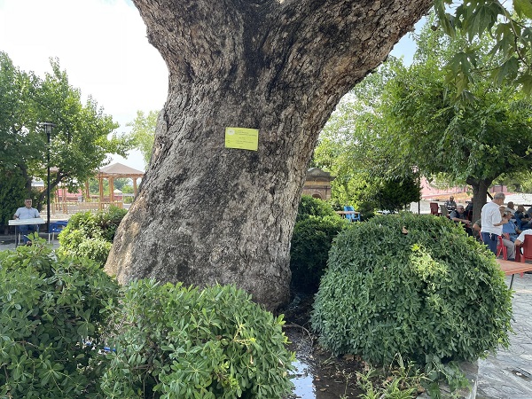 Foto - İşte, Osmaniye'nin 259 yıllık doğal kliması