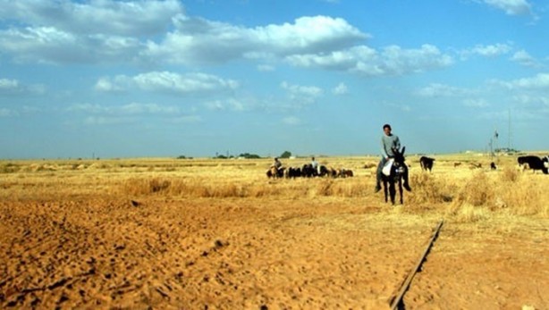 Foto - İşte otoyolun parlattığı araziler