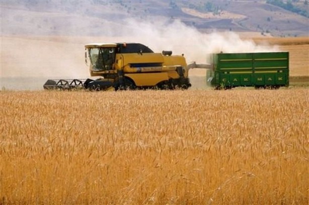 Foto - İşte otoyolun parlattığı araziler