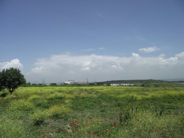 Foto - İşte otoyolun parlattığı araziler