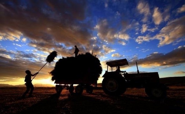 Foto - İşte otoyolun parlattığı araziler