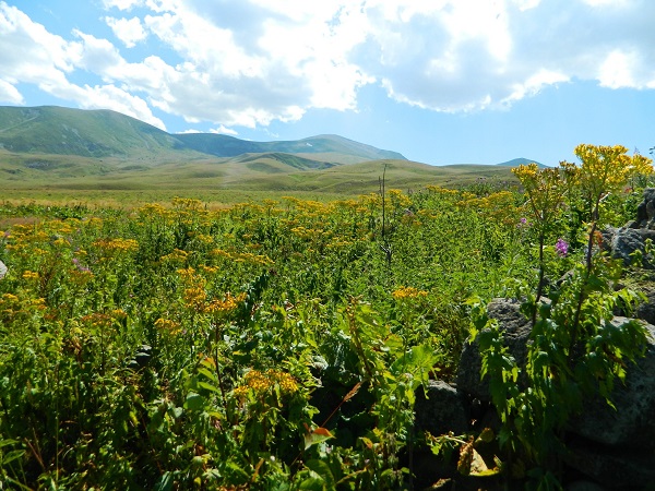 Foto - İşte, Posof'ta iklim değişikliğinin izleri