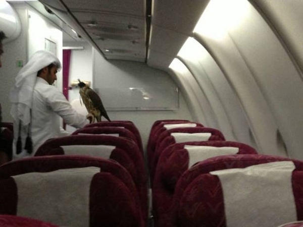 Foto - İşte sadece Dubai'de görebileceğiniz görüntüler