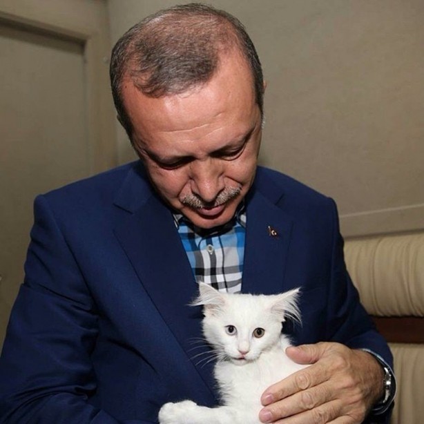 Foto - İşte samimi anlarıyla Başkan Erdoğan!