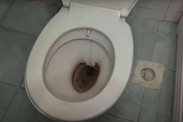 Foto - İşte sararmış klozetleri kar beyazına çeviren yöntem! Sadece bu iki malzemeye ihtiyacınız var! Anında kökünü kazıyor