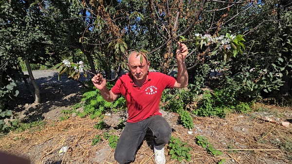 Foto - İşte sebebi bu! Bitkiler mutasyona uğradı