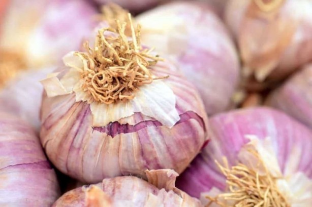 Foto - İşte soğan suyunun inanılmaz faydaları