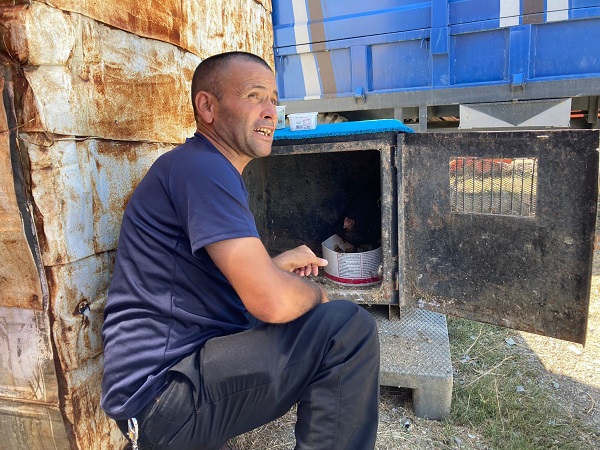 İşte son yılan bükücü!