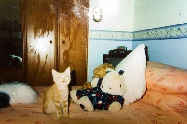 Foto - İşte sosyal medyada en çok paylaşılan fotoğraflar