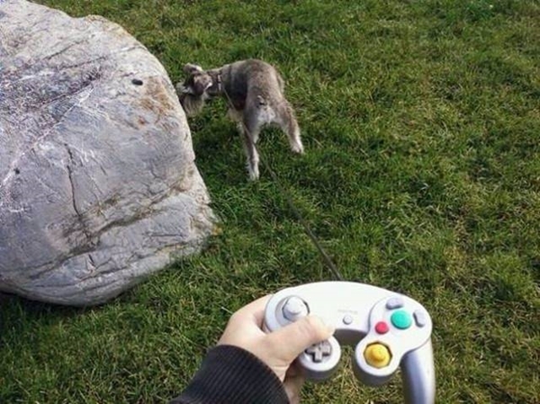 Foto - İşte sosyal medyada en çok paylaşılan fotoğraflar