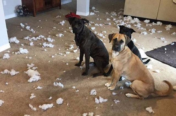 Foto - İşte sosyal medyada en çok paylaşılan fotoğraflar