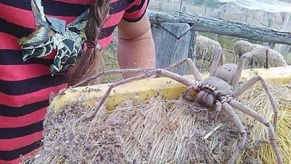 Foto - İşte sosyal medyada en çok paylaşılan fotoğraflar